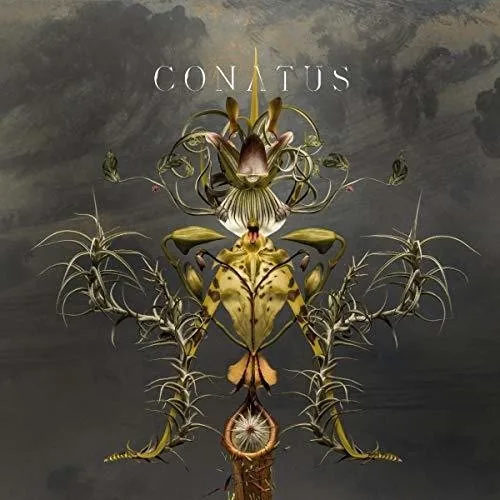 Copertina di Conatus