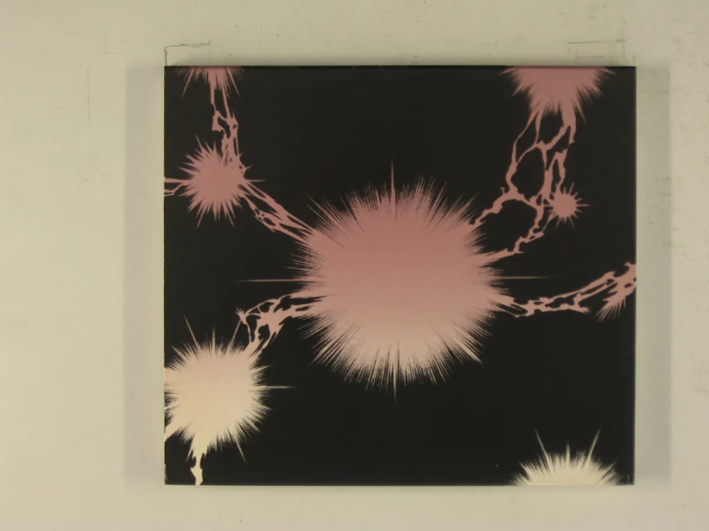 Copertina di Black Hole/Black Canvas