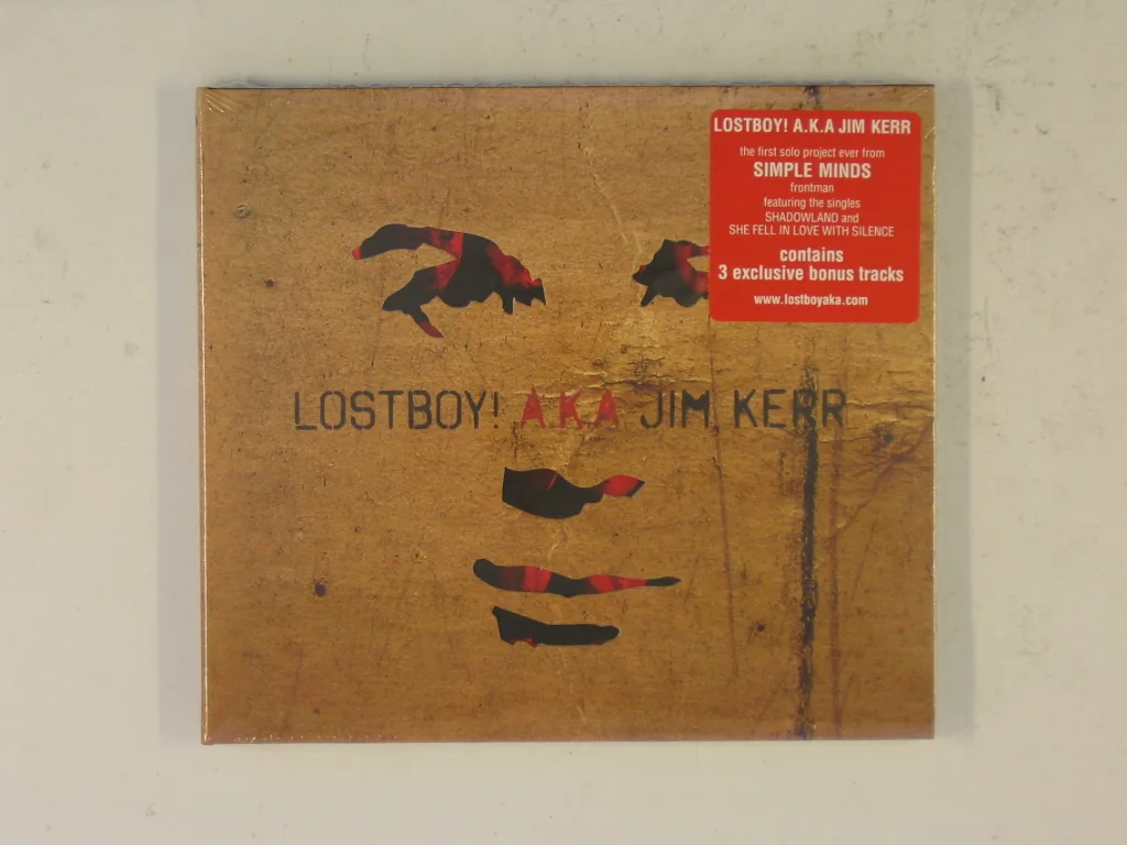 Copertina di Lostboy!