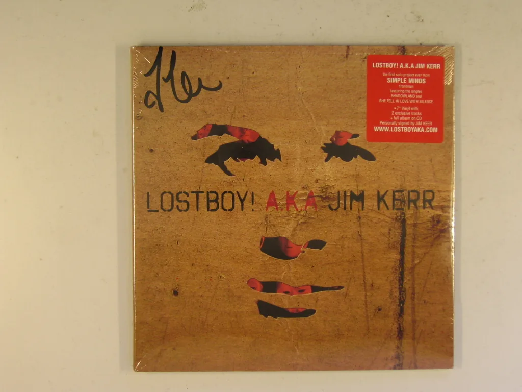 Copertina di Lost Boy