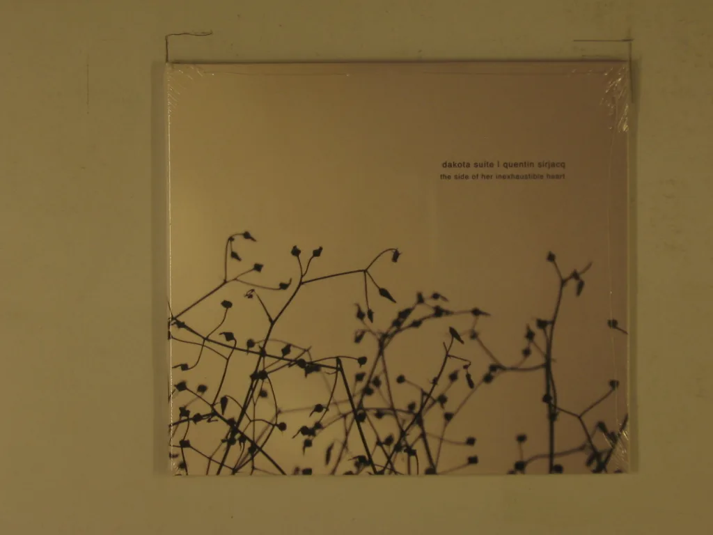Copertina di The Side Of Her Inexhaustible Heart