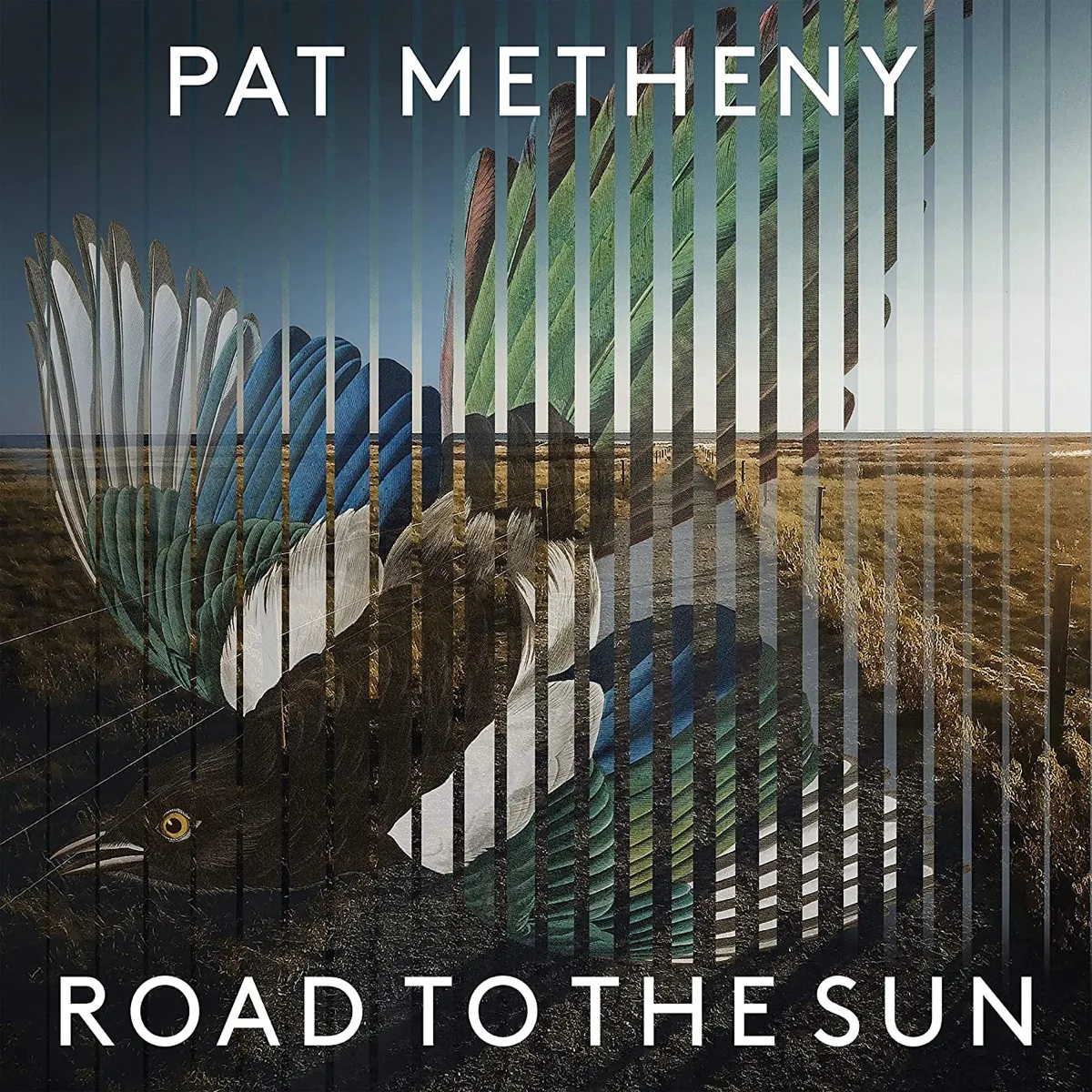 Copertina di Road To The Sun