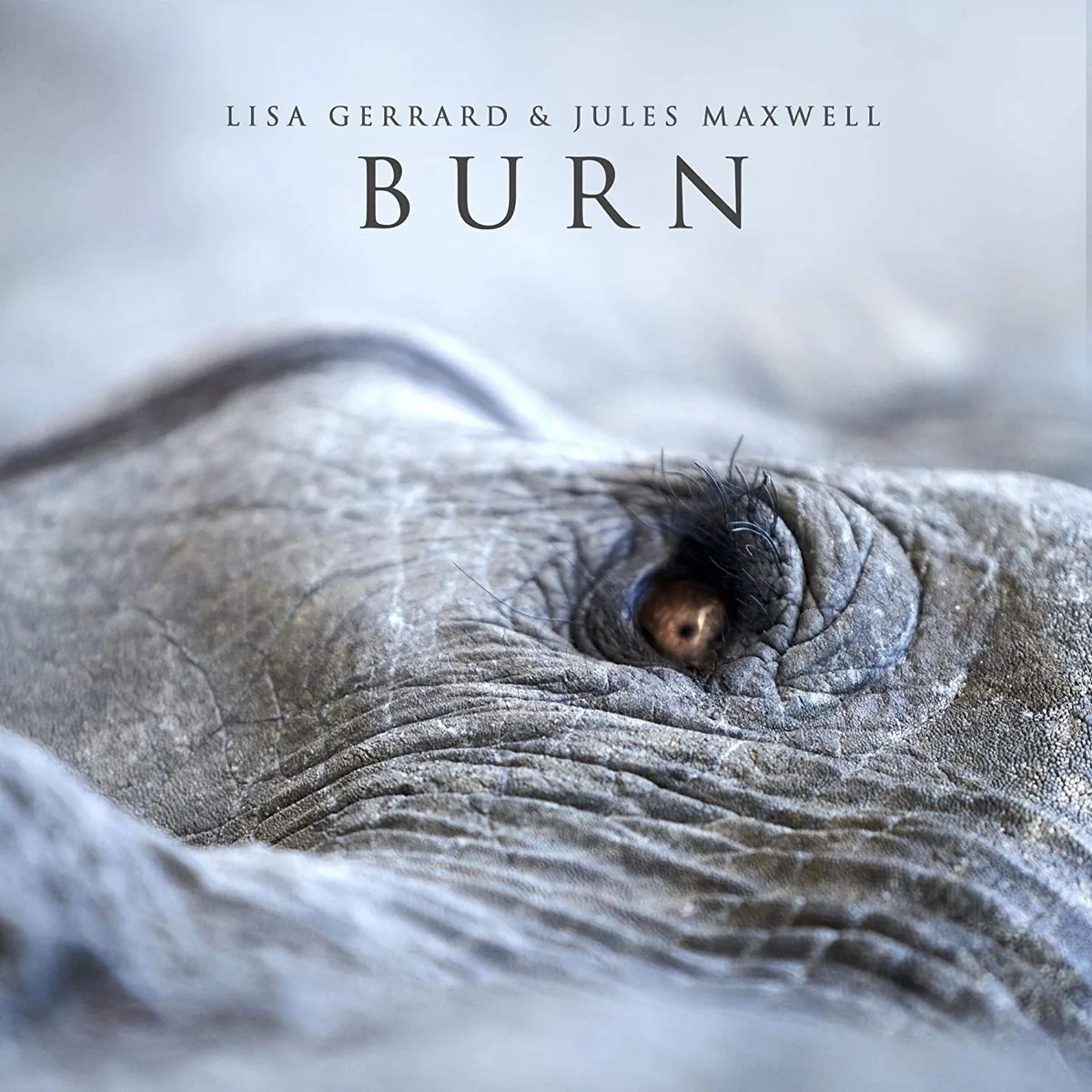 Copertina di Burn