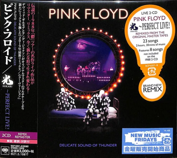 Copertina di Delicate Sound Of Thunder