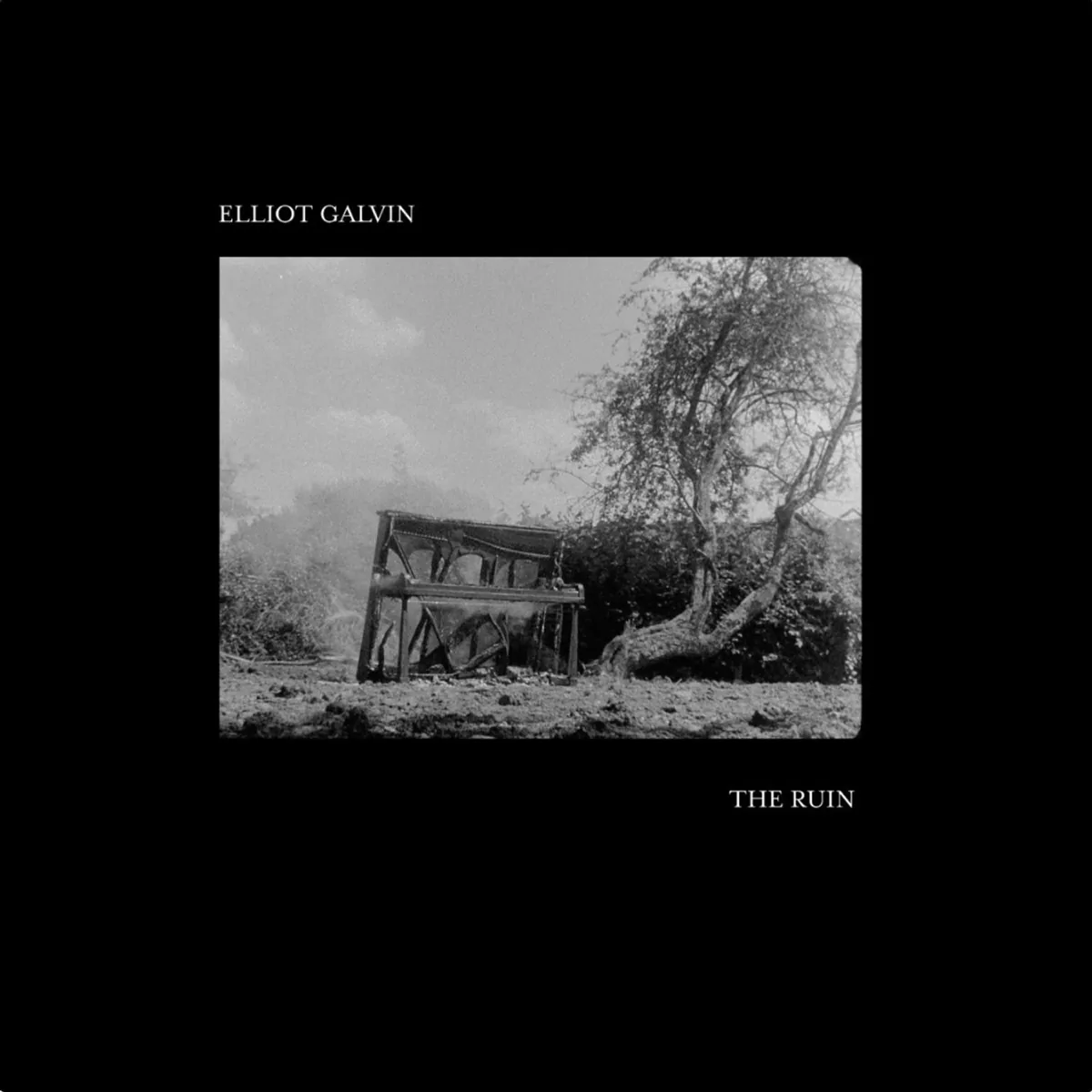 Copertina di The Ruin