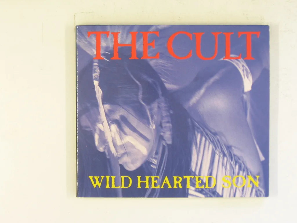 Copertina di Wild Hearted Son