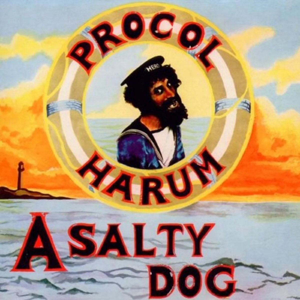 Copertina di A Salty Dog