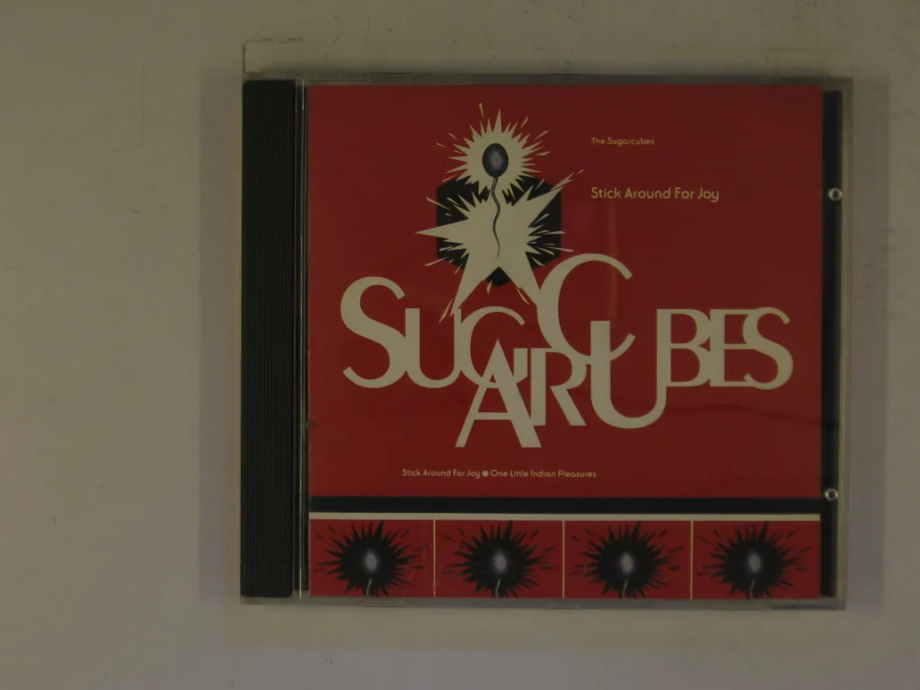 Copertina di Stick Around For Joy