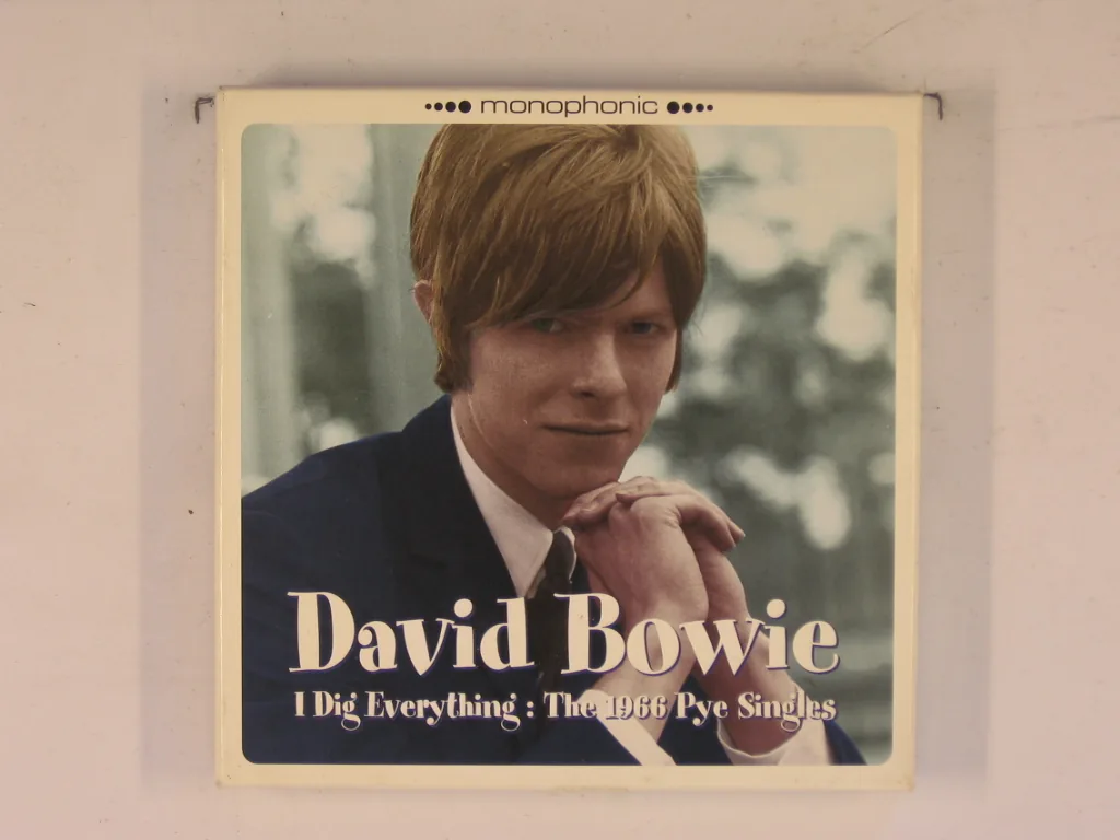Copertina di I Dig Everything: The 1996 Pye Singles