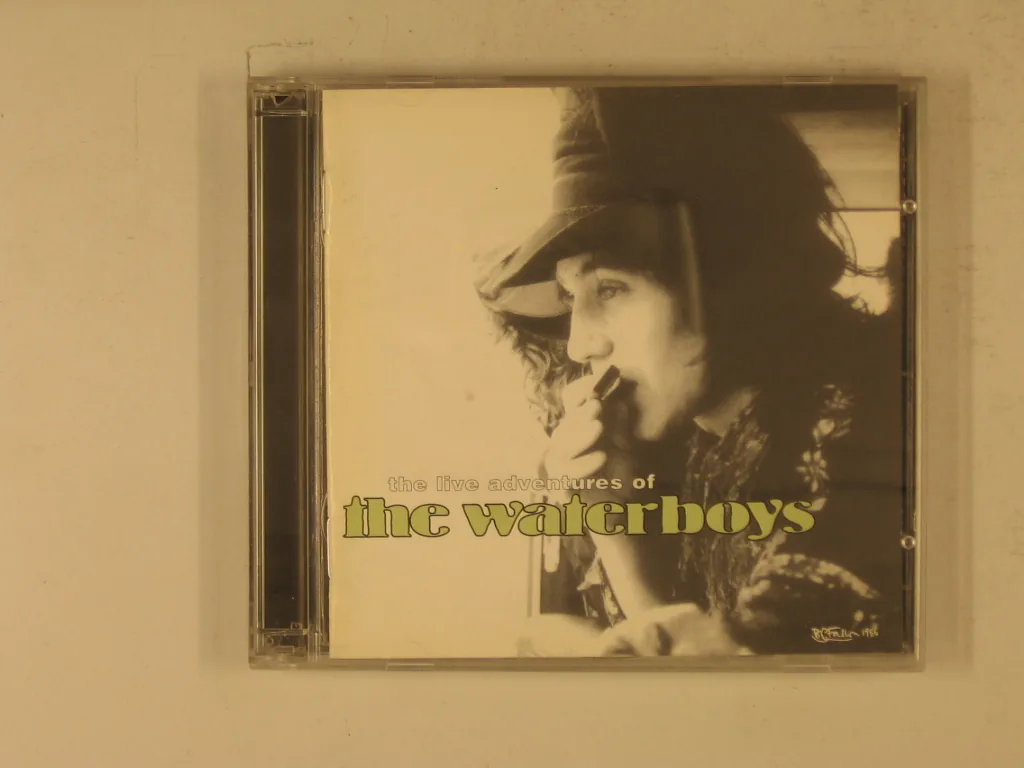 Copertina di The Live Adventures Of The Waterboys