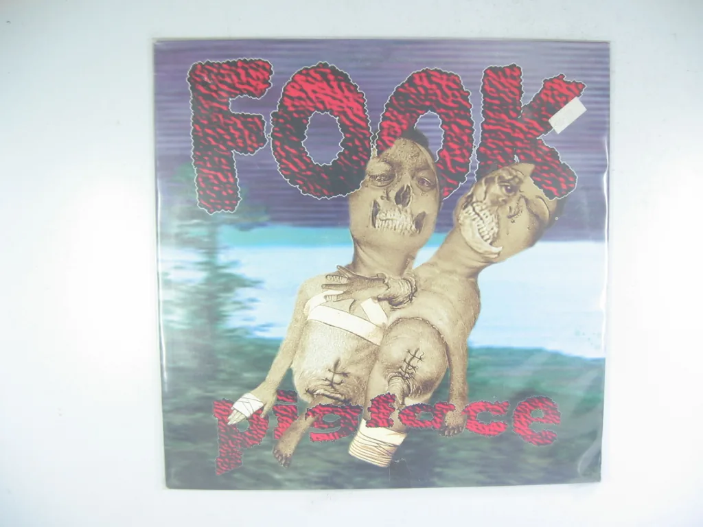 Copertina di Fook