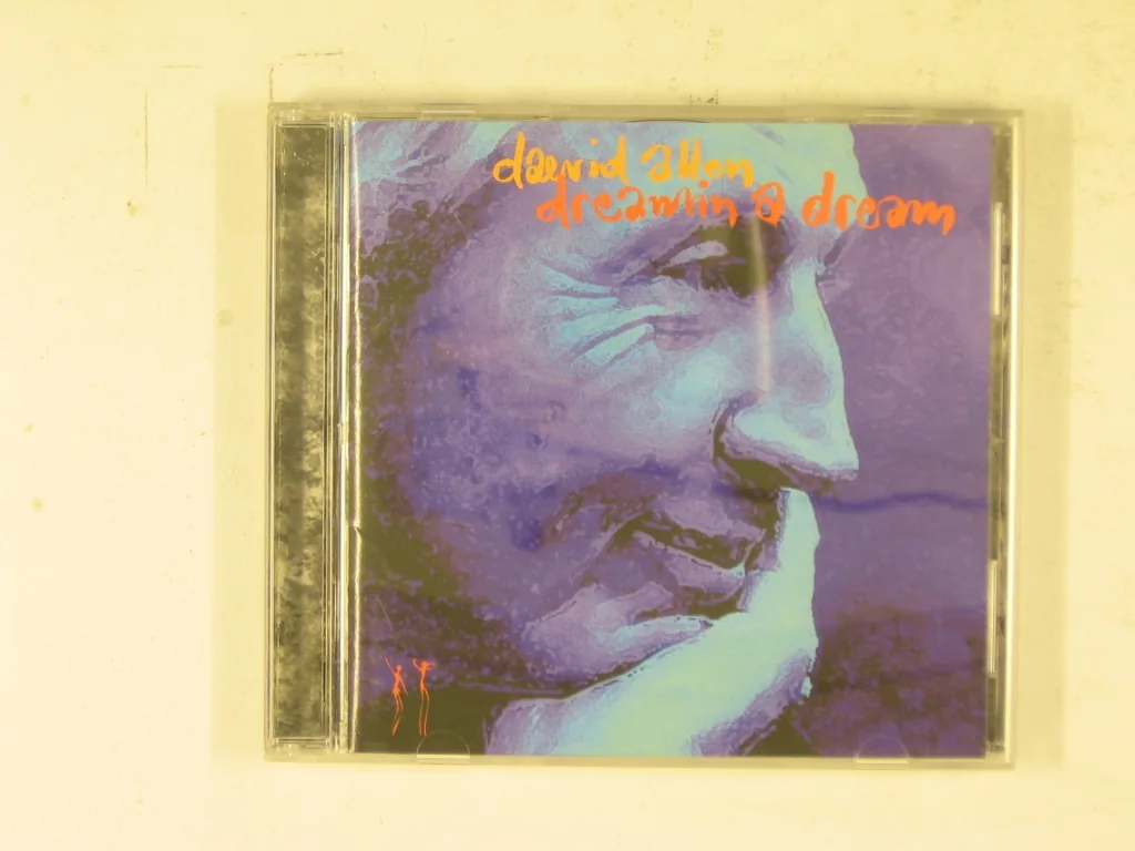 Copertina di Dreammin A Dream