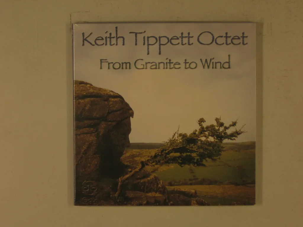 Copertina di From Granite To Wind