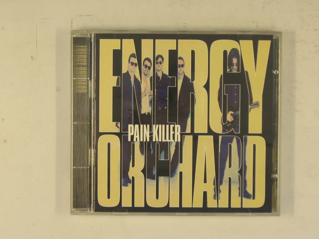 Copertina di Pain Killer