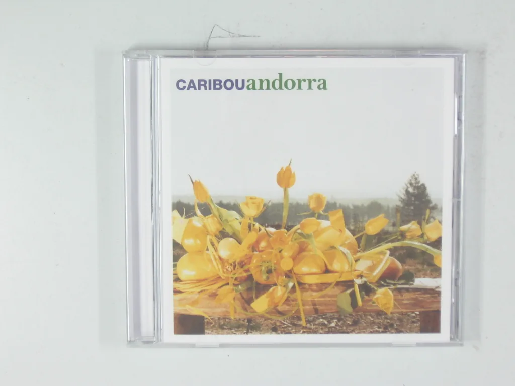Copertina di Andorra