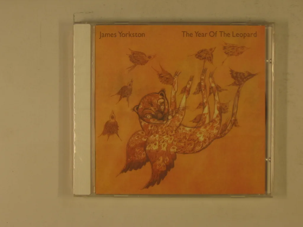 Copertina di The Year Of The Leopard