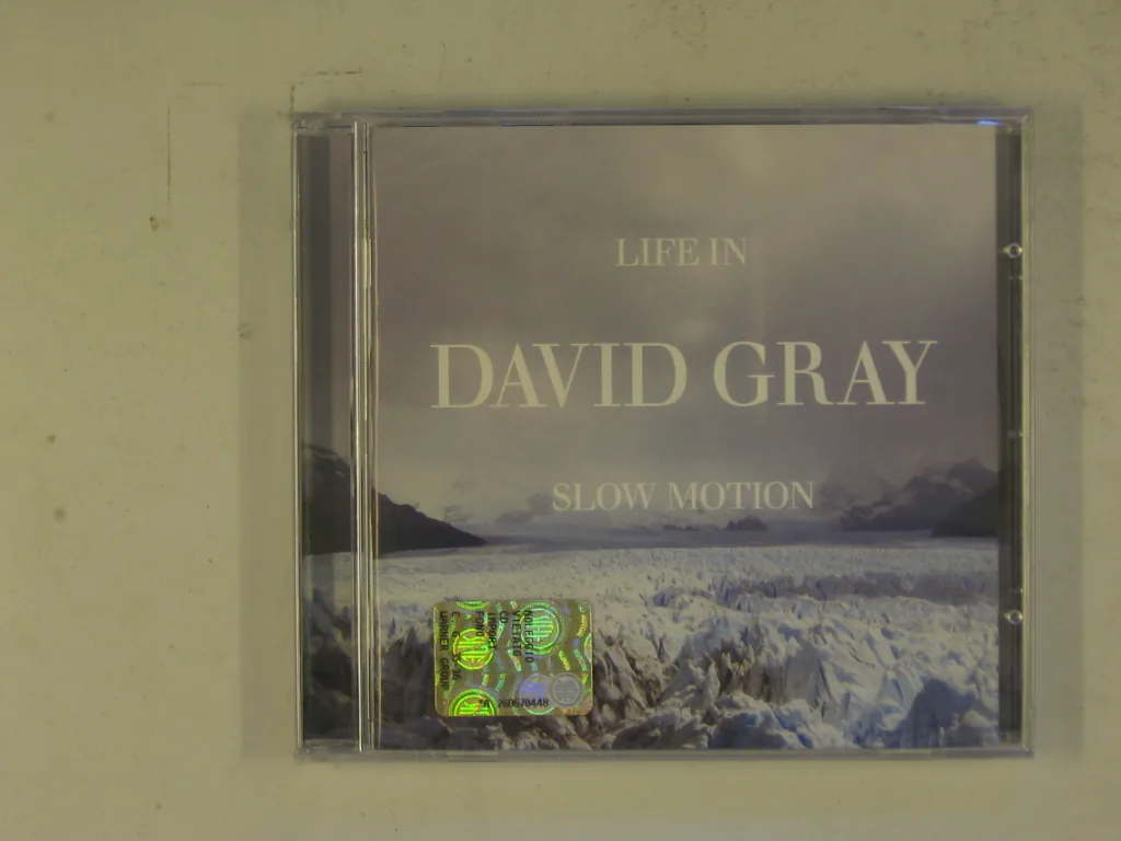Copertina di Life In Slow Motion