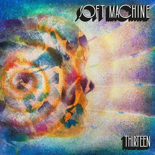Copertina di Thirteen