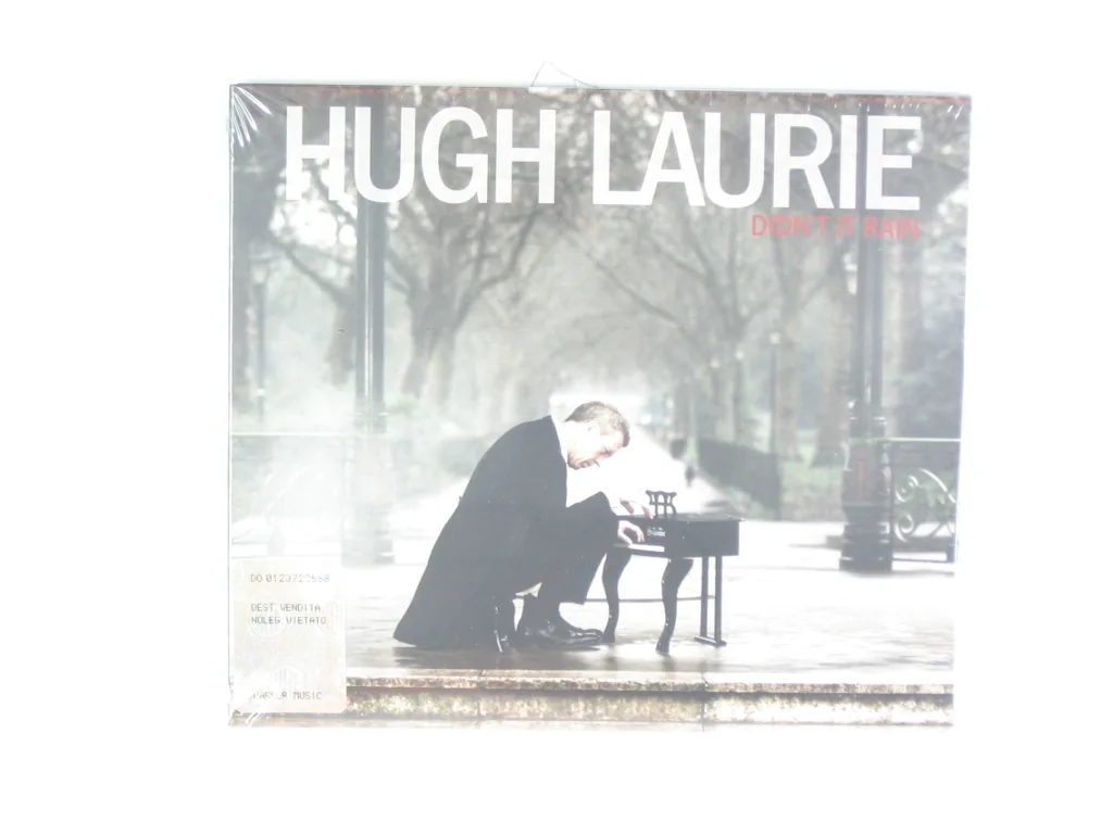 Copertina di Didn'T It Rain