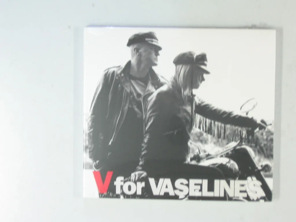 Copertina di V For Vaselines
