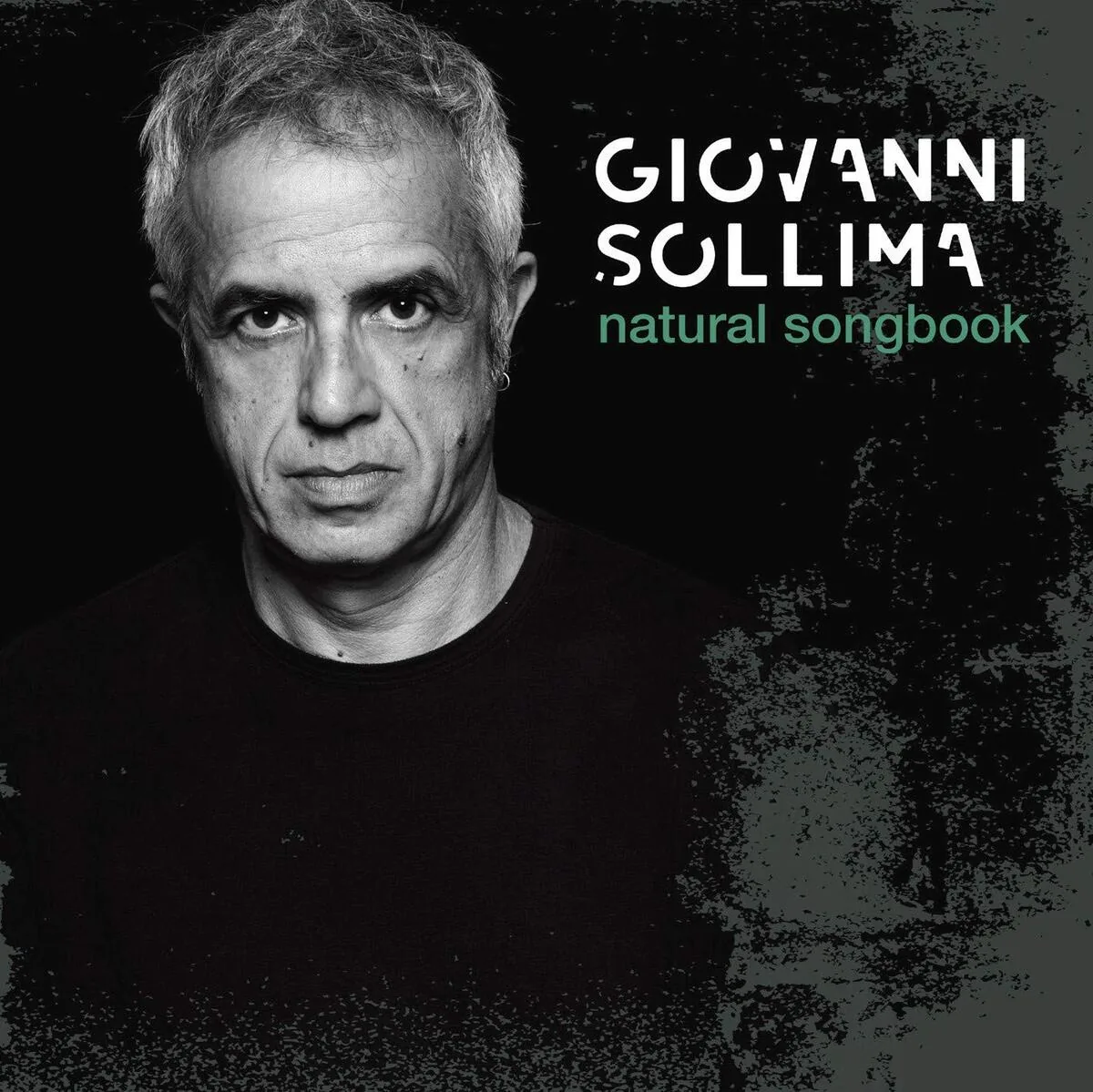 Copertina di Natural Songbook