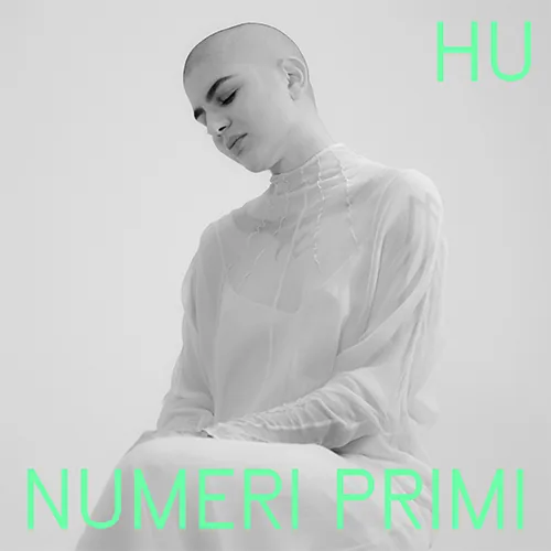 Copertina di Numeri Primi