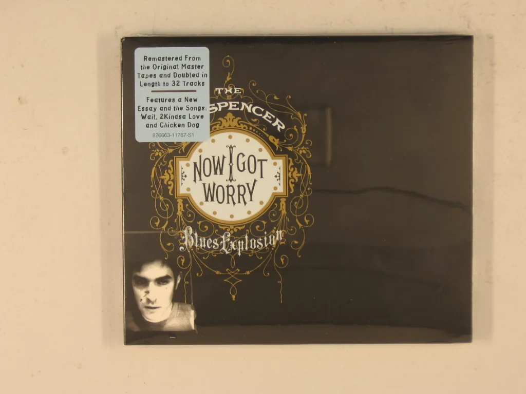Copertina di Now I Got Worry