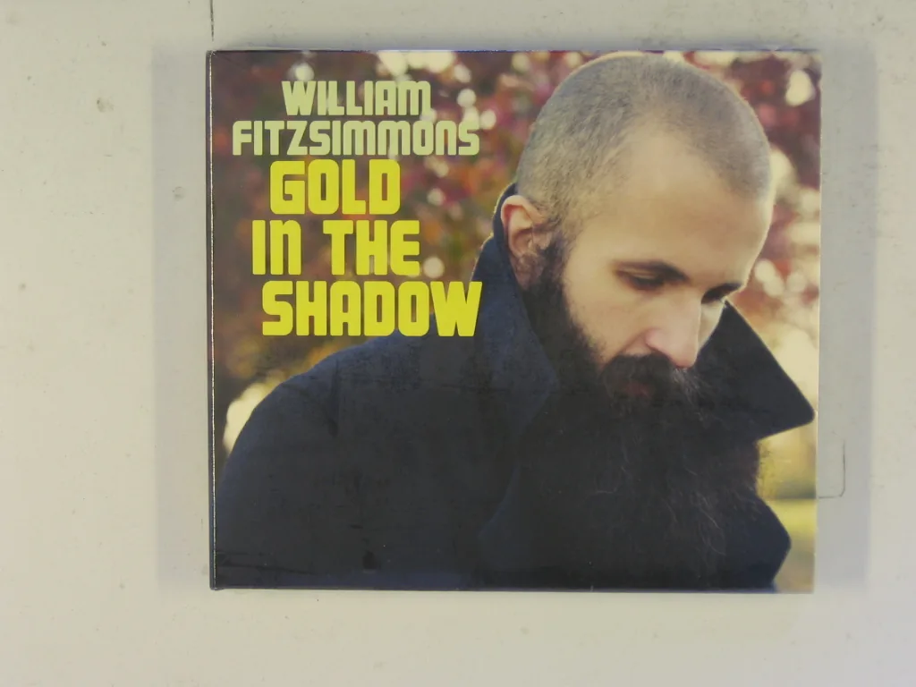 Copertina di Gold In The Shadow