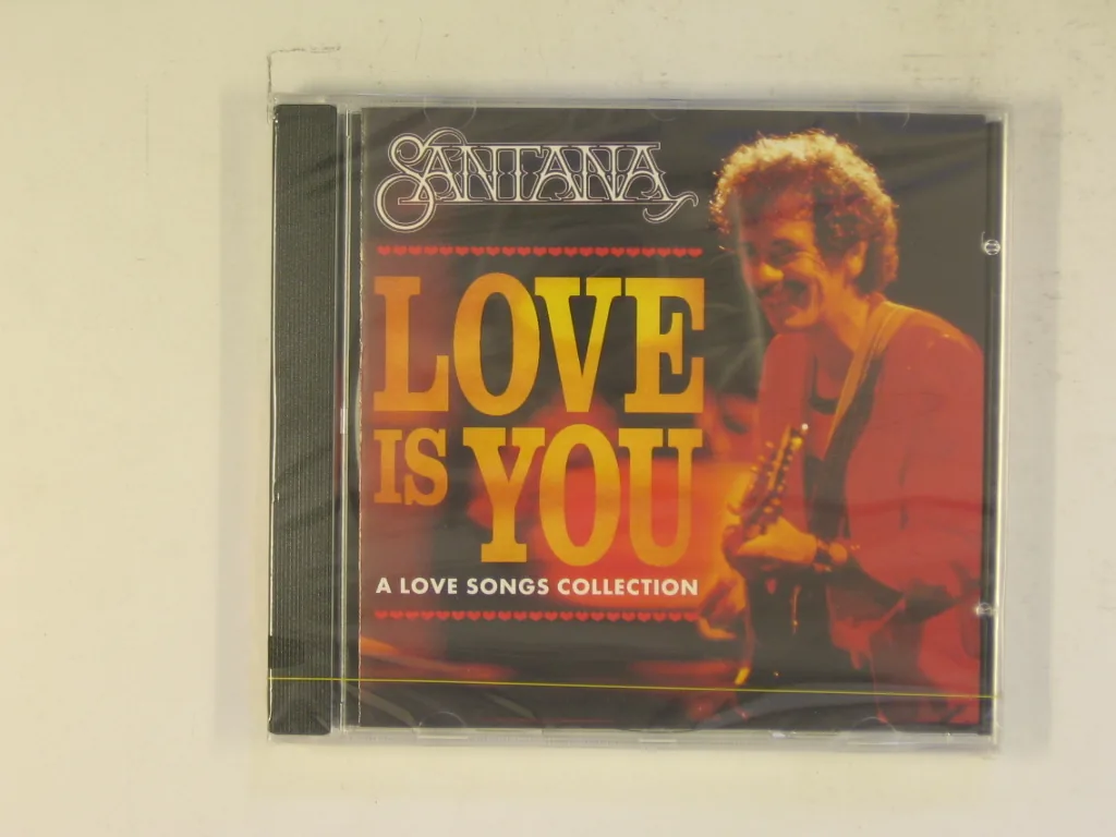 Copertina di Love Is You