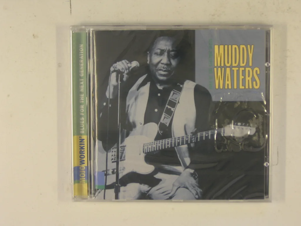 Copertina di King Of The Electric Blues