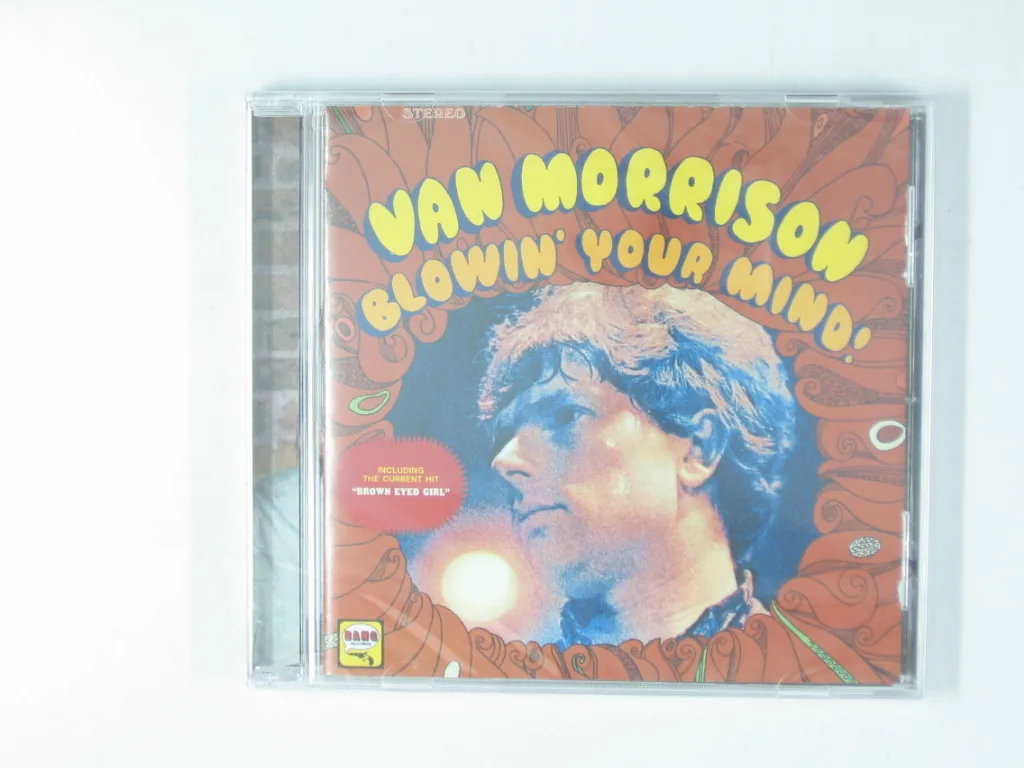 Copertina di Blowin Your Mind