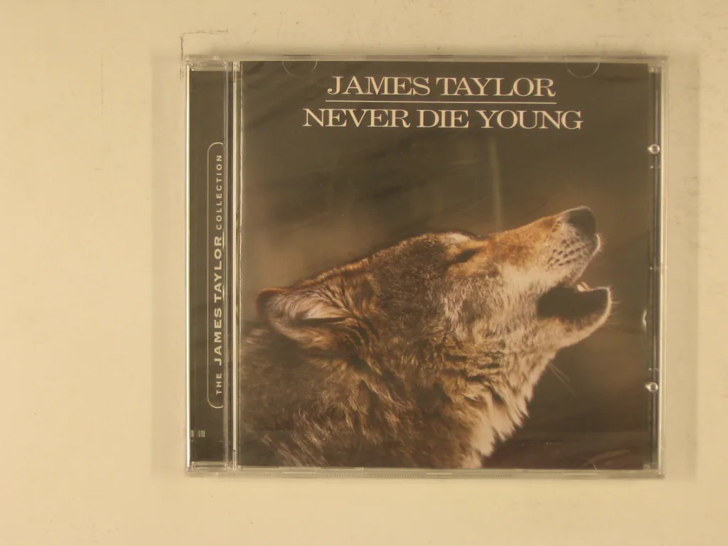 Copertina di Never Die Young