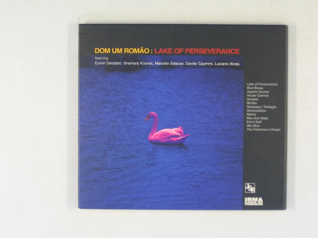 Copertina di Lake Of Perseverance