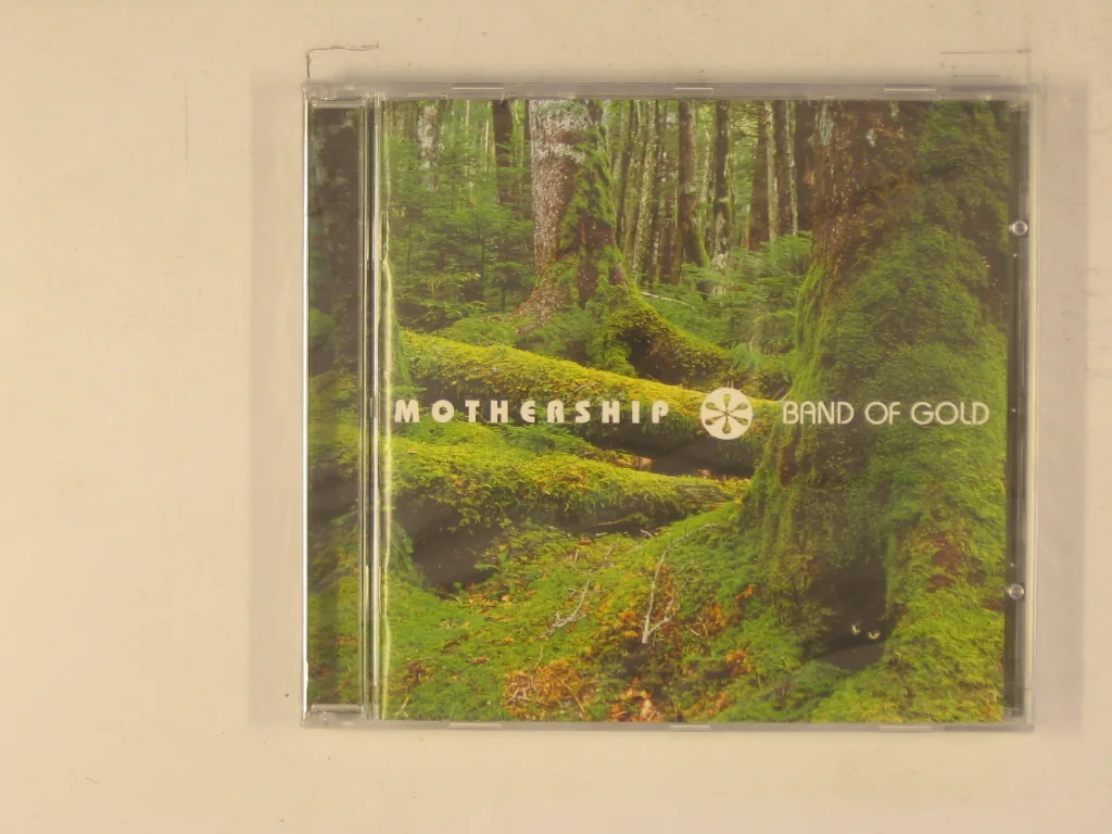 Copertina di Band Of Gold