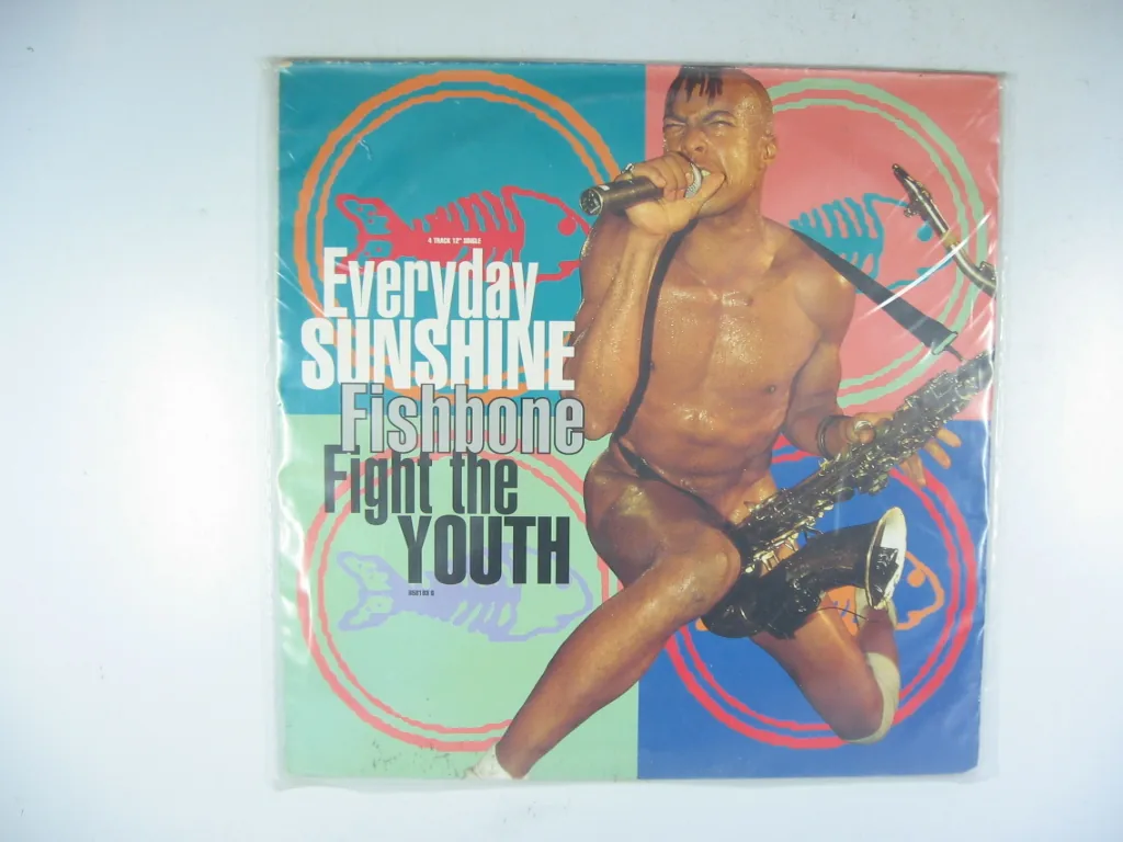 Copertina di Everyday Sunshine/Fight The Youth