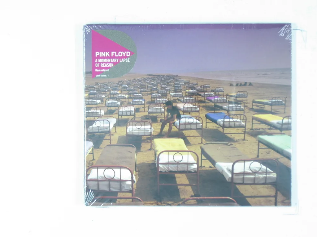 Copertina di A Momentary Lapse Of Reason