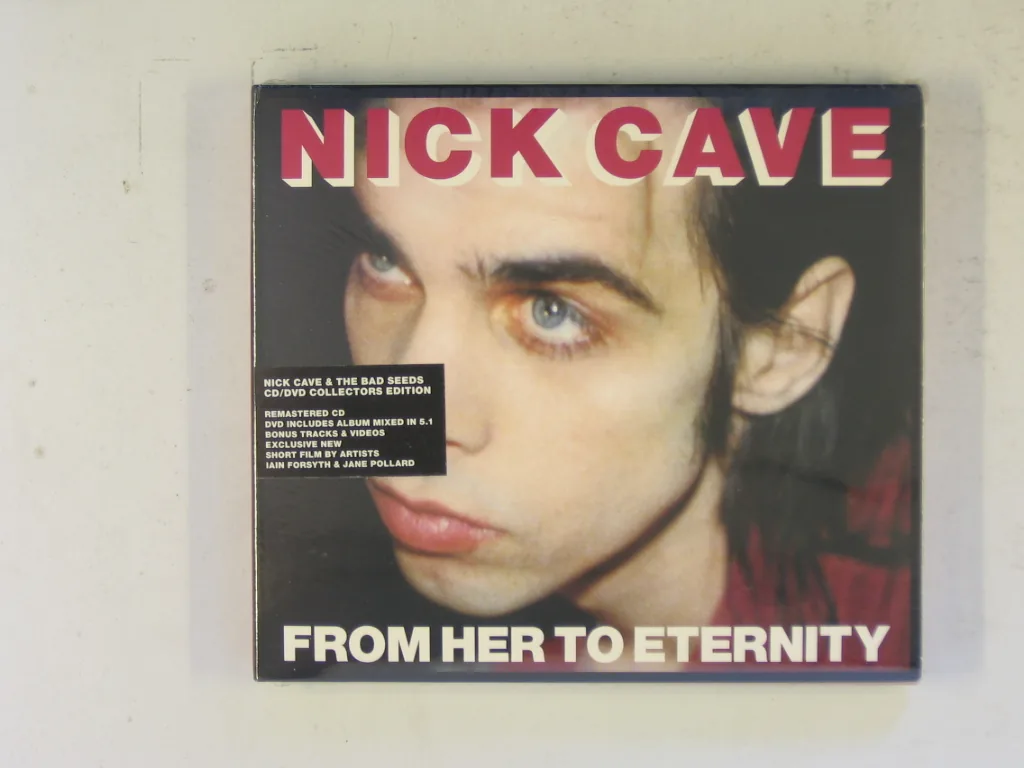 Copertina di From Her To Eternity