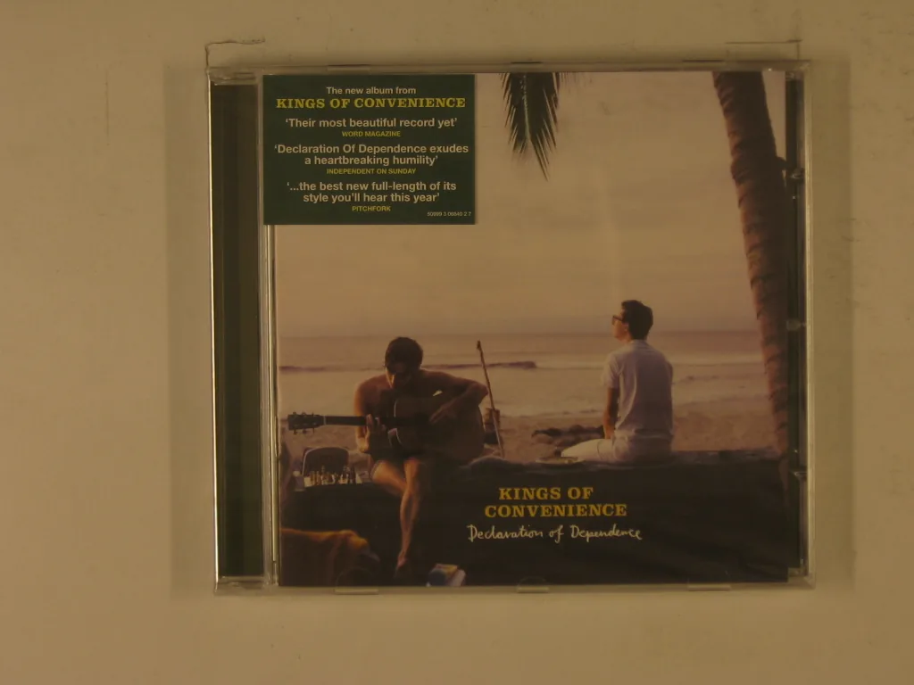 Copertina di Declaration Of Dependence