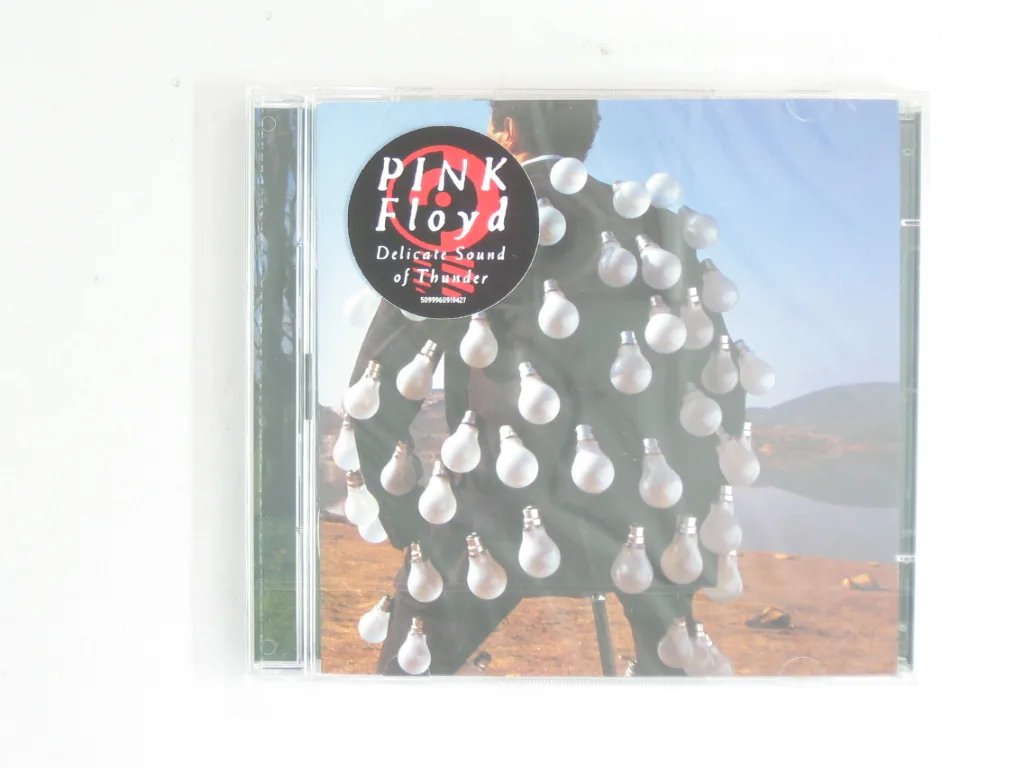 Copertina di Delicate Sound Of Thunder