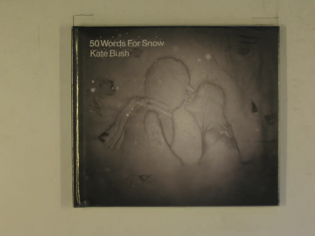 Copertina di 50 Words For Snow