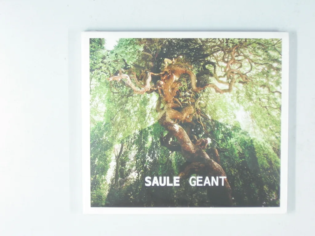 Copertina di Geant