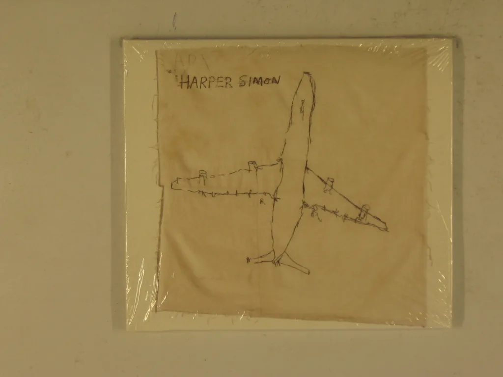 Copertina di Harper Simon