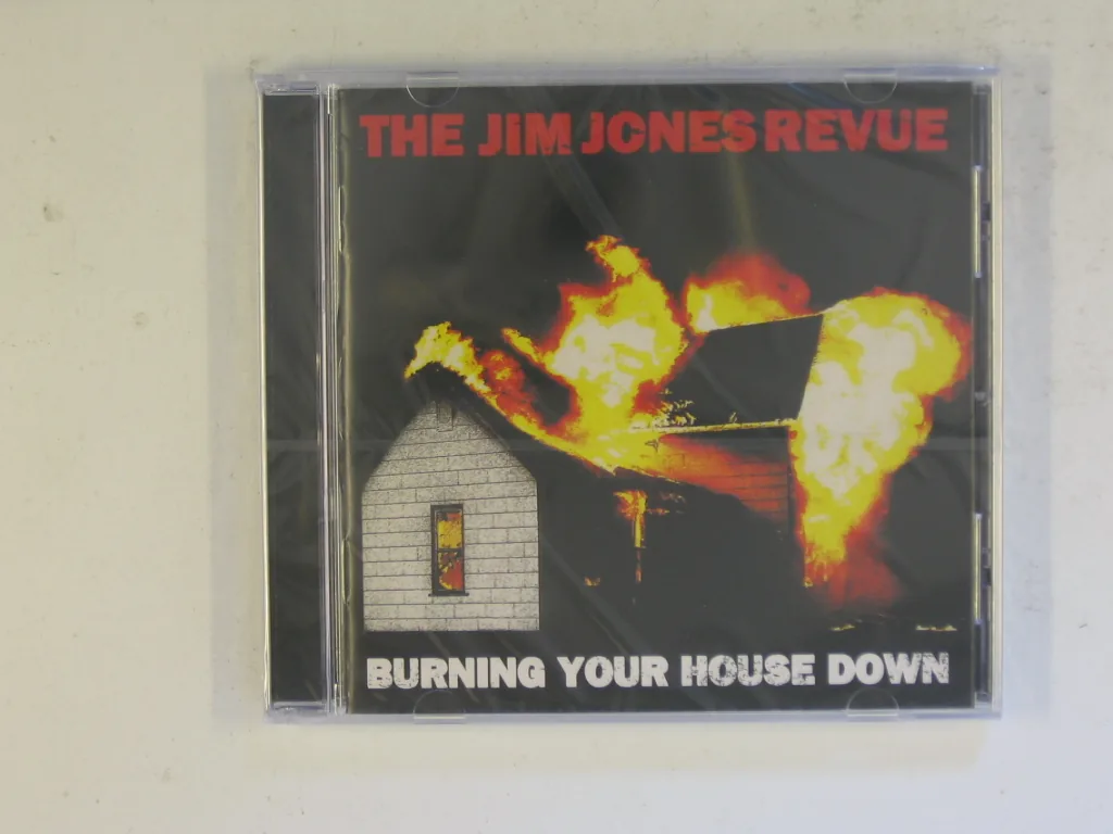 Copertina di Burning Your House Down