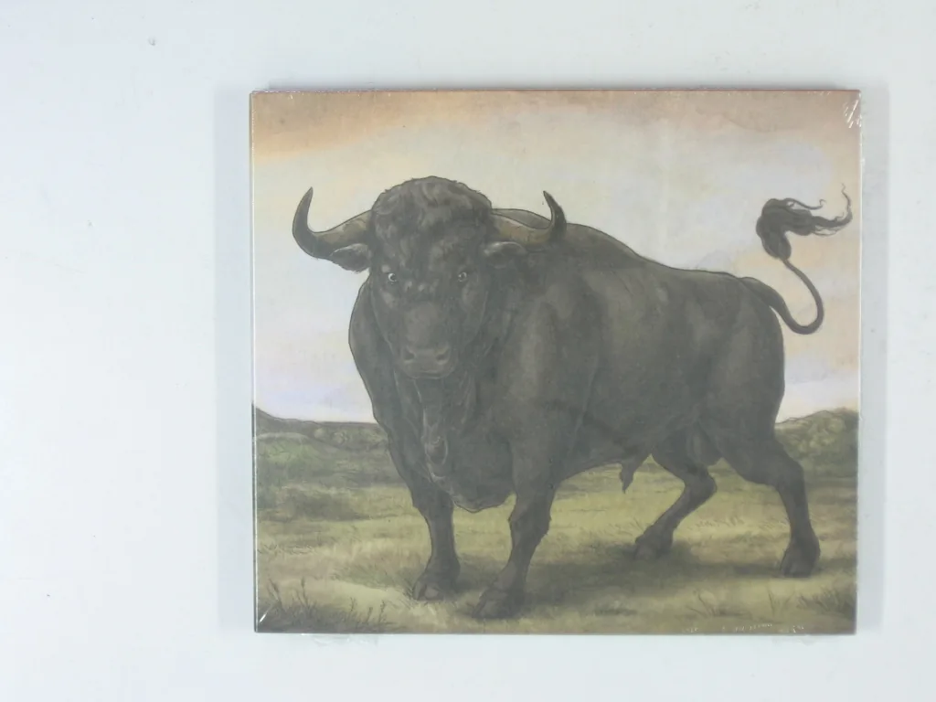 Copertina di San Fermin
