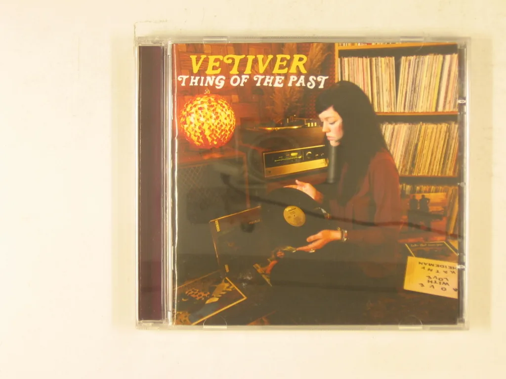 Copertina di Thing Of The Past
