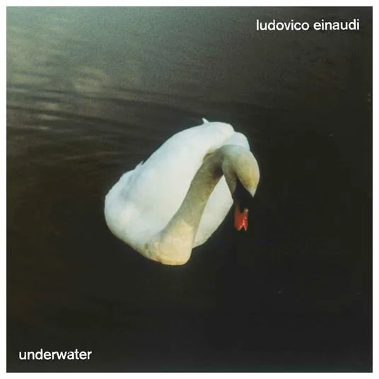 Copertina di Underwater