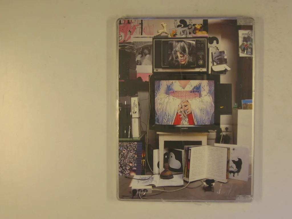 Copertina di Inside Bjork