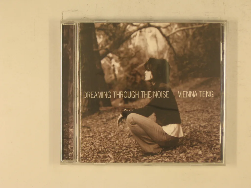 Copertina di Dreaming Through The Noise
