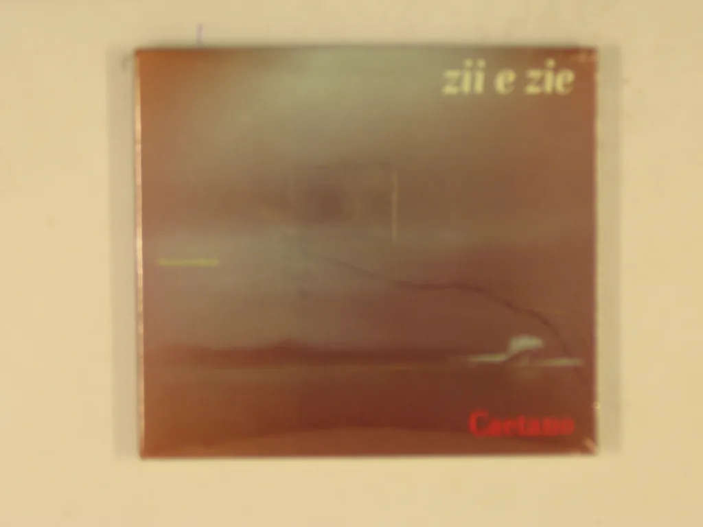 Copertina di Zii E Zie
