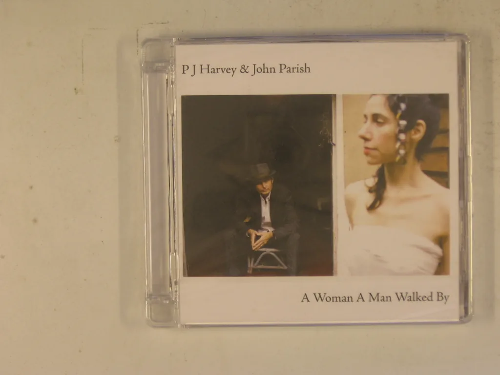 Copertina di A Woman A Man Walked By